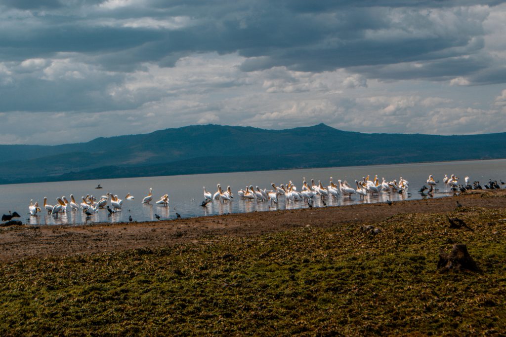 Crescent Island,Naivasha