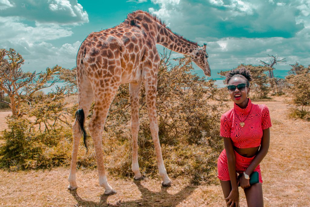 close up portrait with a giraffe