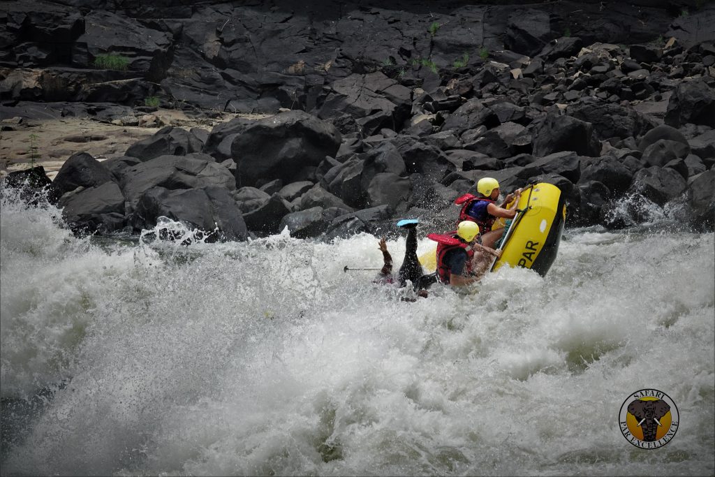 Zambezi River. Zambia