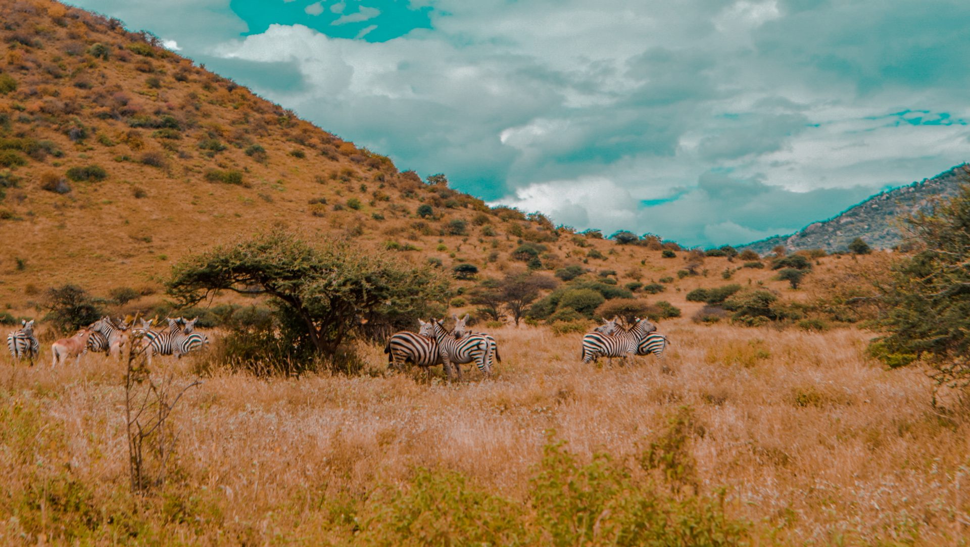 12 things to do in Taita Taveta County For first timers Just Rioba