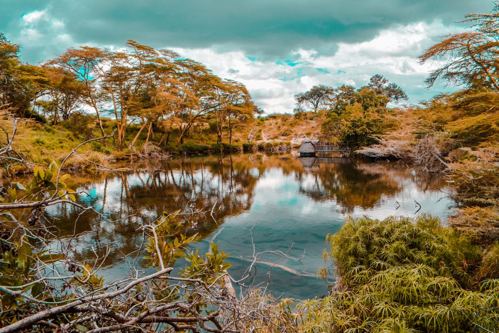 Mzima springs, Taita Taveta county