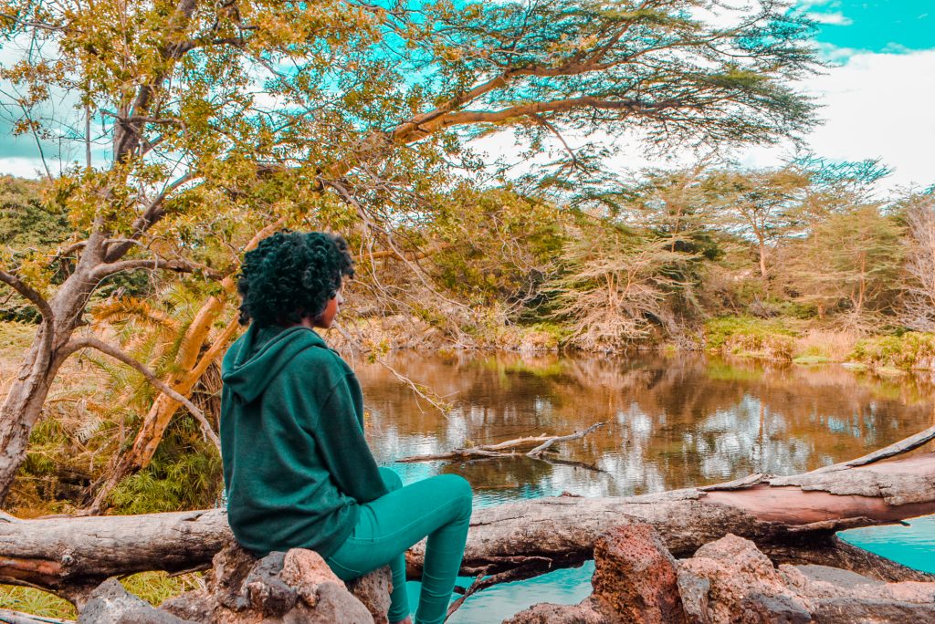 Mzima springs, Taita Taveta county