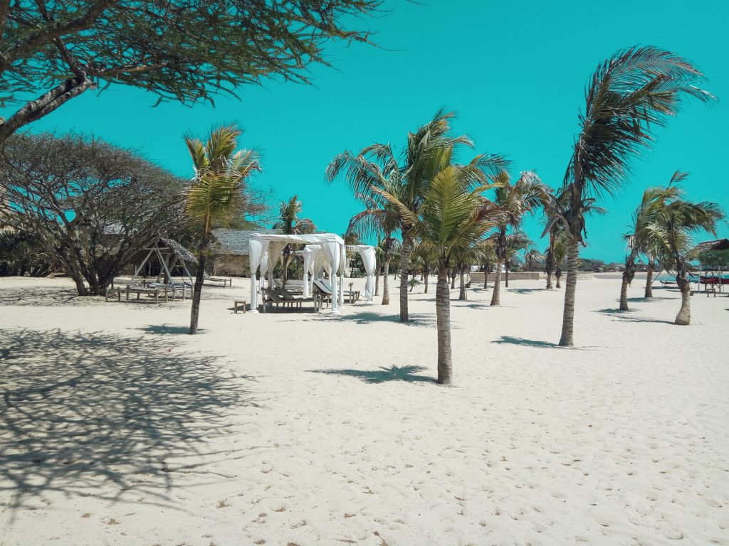 The Ultimate guide to visiting Lamu Island for the first time - A guide for anyone visiting Lamu. It includes what to expect in Lamu, getting around, the best way to travel to Lamu and where to stay