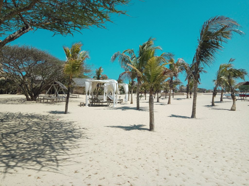 20 pictures that will inspire you to visit Lamu - Images to inspire anyone planning to travel to Lamu Island for the very first time and have a blast while at it