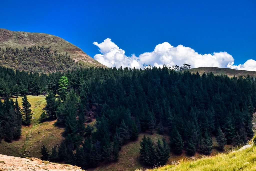 A kenyan girl in LESOTHO: traveling from South Africa to Lesotho by road 