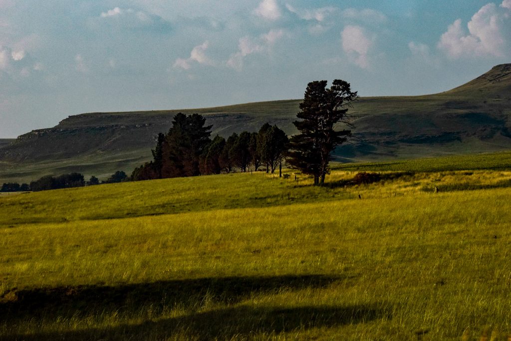 Hiking drakensberg South Africa- helpful travel tips to help you plan to have an epic day hiking the Amphitheatre, see Tugela falls