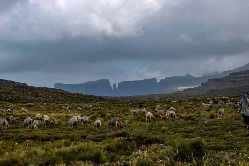 Hiking drakensberg South Africa- helpful travel tips to help you plan to have an epic day hiking the Amphitheatre, see Tugela falls